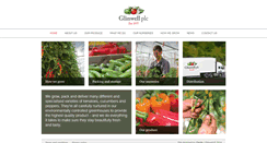 Desktop Screenshot of glinwellplc.com