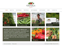 Tablet Screenshot of glinwellplc.com